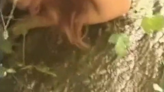 Ебарь чпокнул русскую малышку на открытом воздухе